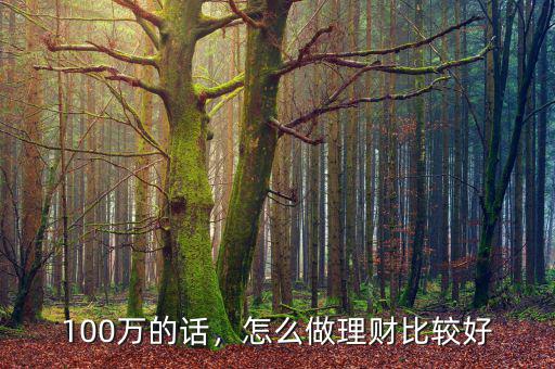 100萬的話，怎么做理財比較好