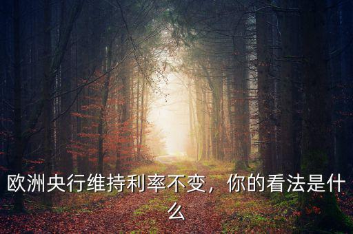歐洲央行維持利率不變，你的看法是什么