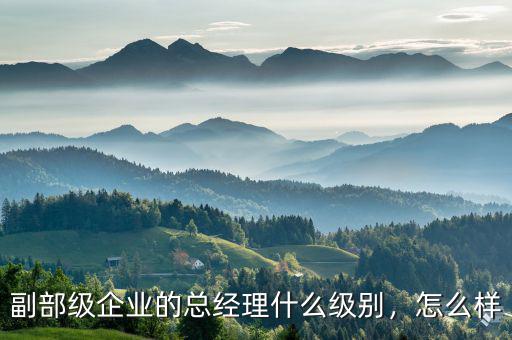 華能副總什么級別,副部級企業(yè)的總經理什么級別