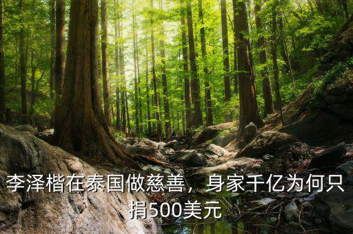 李澤楷在泰國做慈善，身家千億為何只捐500美元