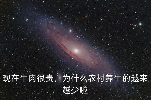現(xiàn)在牛肉很貴，為什么農(nóng)村養(yǎng)牛的越來越少啦