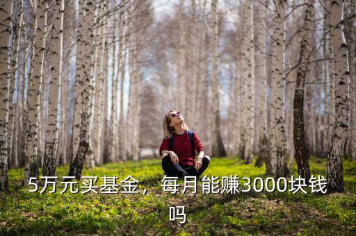 5萬(wàn)元買(mǎi)基金，每月能賺3000塊錢(qián)嗎