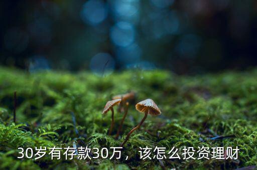 30歲有存款30萬，該怎么投資理財