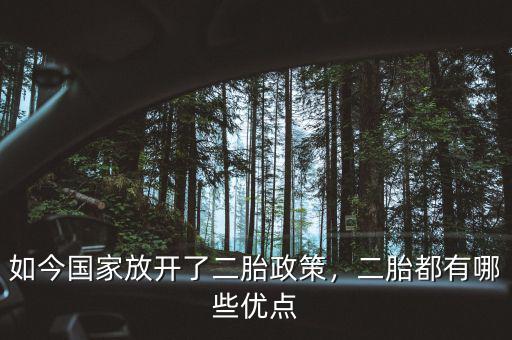 為什么放開二胎政策,如今國家放開了二胎政策