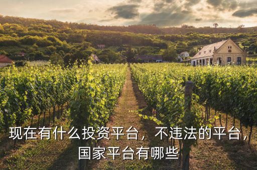 現(xiàn)在有什么投資平臺(tái)，不違法的平臺(tái)，國(guó)家平臺(tái)有哪些