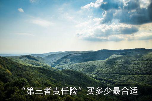 “第三者責(zé)任險(xiǎn)”買(mǎi)多少最合適