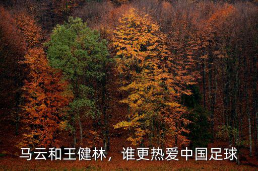 馬云和王健林，誰更熱愛中國足球