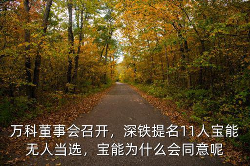 萬(wàn)科董事會(huì)召開(kāi)，深鐵提名11人寶能無(wú)人當(dāng)選，寶能為什么會(huì)同意呢