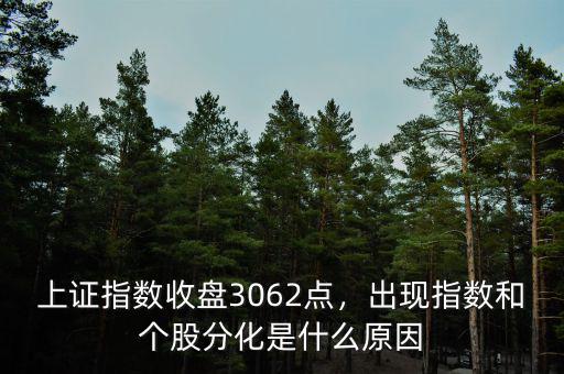 上證指數(shù)收盤3062點(diǎn)，出現(xiàn)指數(shù)和個(gè)股分化是什么原因