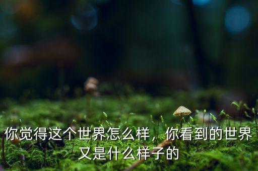 你覺(jué)得這個(gè)世界怎么樣，你看到的世界又是什么樣子的