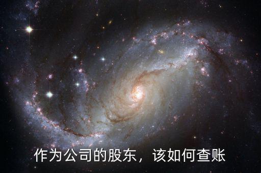 作為公司的股東，該如何查賬