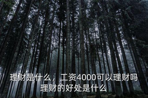 理財(cái)是什么，工資4000可以理財(cái)嗎理財(cái)?shù)暮锰幨鞘裁? class=