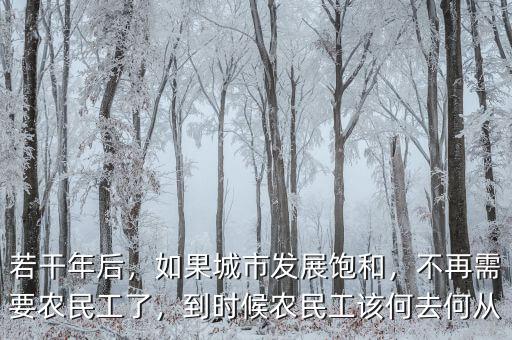 若干年后，如果城市發(fā)展飽和，不再需要農民工了，到時候農民工該何去何從