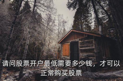 請(qǐng)問股票開戶最低需要多少錢，才可以正常購(gòu)買股票