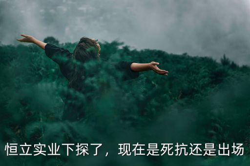 恒立實(shí)業(yè)下探了，現(xiàn)在是死抗還是出場