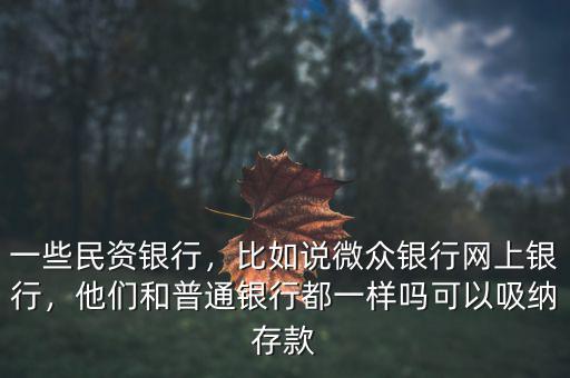 一些民資銀行，比如說(shuō)微眾銀行網(wǎng)上銀行，他們和普通銀行都一樣嗎可以吸納存款