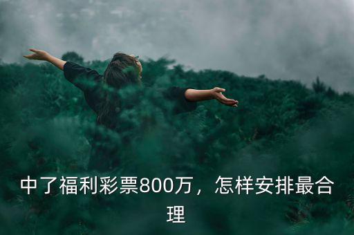 中了福利彩票800萬，怎樣安排最合理