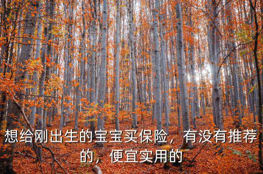 想給剛出生的寶寶買保險，有沒有推薦的，便宜實用的