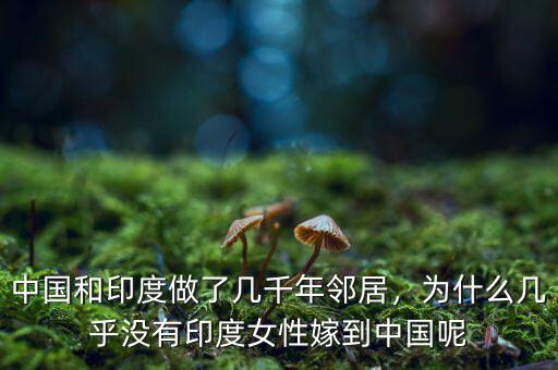 中國(guó)為什么沒(méi)有貧民窟,中國(guó)和印度做了幾千年鄰居