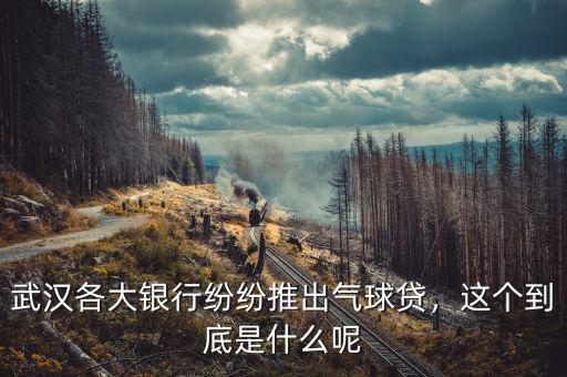 武漢各大銀行紛紛推出氣球貸，這個(gè)到底是什么呢