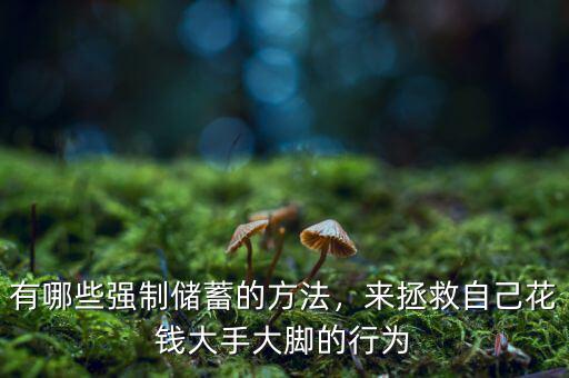 有哪些強(qiáng)制儲(chǔ)蓄的方法，來拯救自己花錢大手大腳的行為