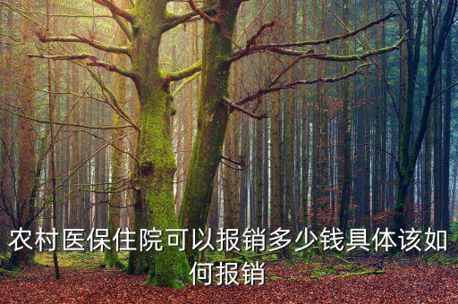 農醫(yī)?，F(xiàn)在能報銷多少,具體該如何報銷