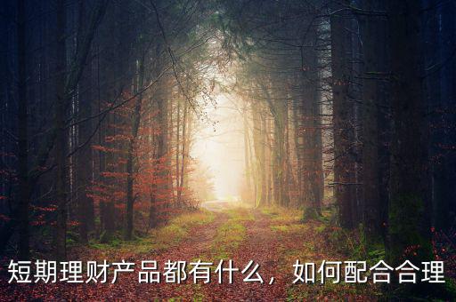 短期理財(cái)產(chǎn)品都有什么，如何配合合理