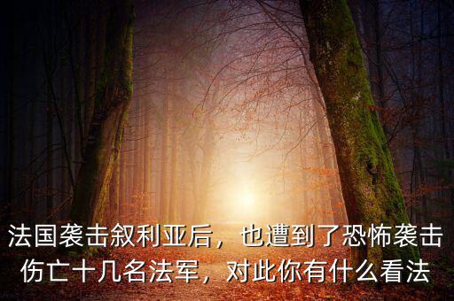 法國襲擊敘利亞后，也遭到了恐怖襲擊傷亡十幾名法軍，對此你有什么看法