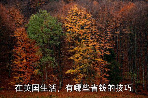 在英國生活，有哪些省錢的技巧