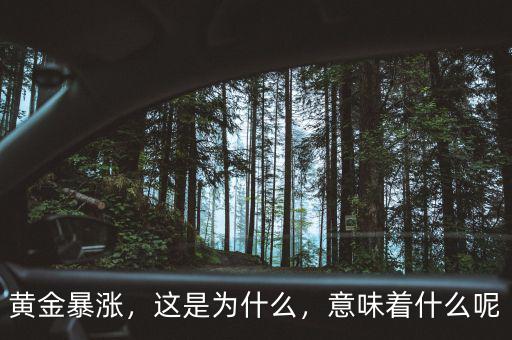 黃金暴漲，這是為什么，意味著什么呢