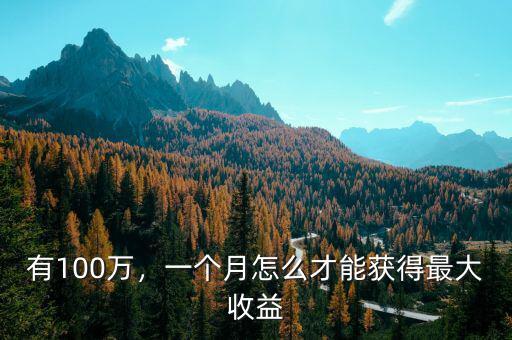 有100萬(wàn)，一個(gè)月怎么才能獲得最大收益