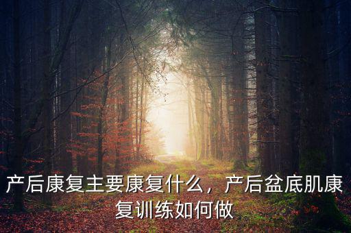 產后康復主要康復什么，產后盆底肌康復訓練如何做