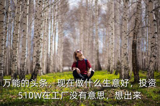 萬能的頭條，現(xiàn)在做什么生意好，投資510W在工廠沒有意思，想出來