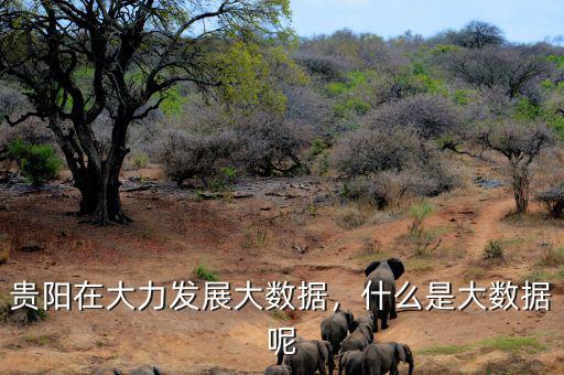 貴陽在大力發(fā)展大數(shù)據(jù)，什么是大數(shù)據(jù)呢