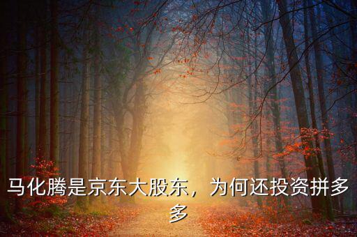 馬化騰是京東大股東，為何還投資拼多多