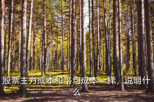 股票主力成本和平均成本一樣，說(shuō)明什么