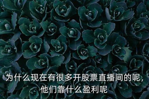 為什么現(xiàn)在有很多開(kāi)股票直播間的呢，他們靠什么盈利呢