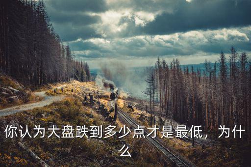 你認(rèn)為大盤跌到多少點(diǎn)才是最低，為什么