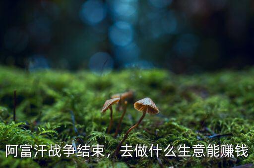 阿富汗戰(zhàn)爭結束，去做什么生意能賺錢