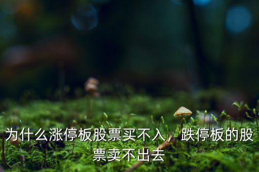 為什么漲停板股票買不入，跌停板的股票賣不出去