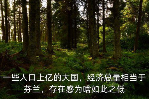 一些人口上億的大國(guó)，經(jīng)濟(jì)總量相當(dāng)于芬蘭，存在感為啥如此之低