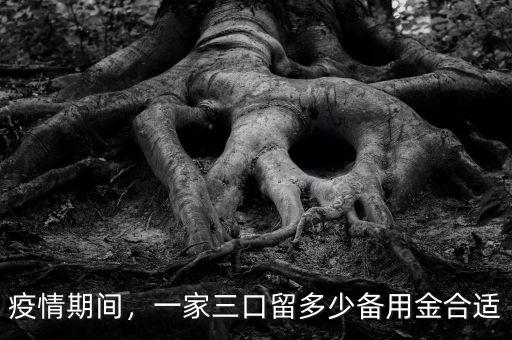 疫情期間，一家三口留多少備用金合適