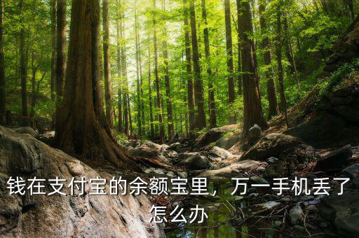 錢在支付寶的余額寶里，萬(wàn)一手機(jī)丟了怎么辦