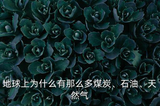 地球上為什么有那么多煤炭、石油、天然氣