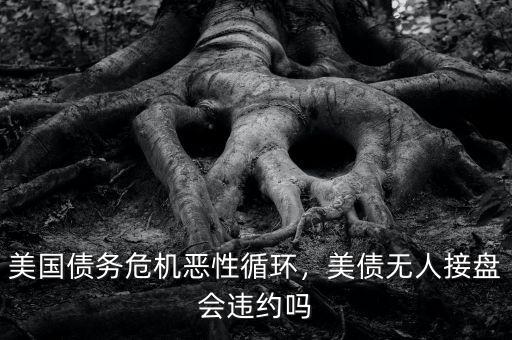 美國債務(wù)危機惡性循環(huán)，美債無人接盤會違約嗎