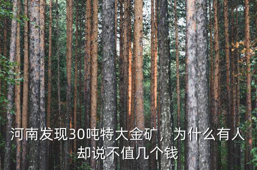 28噸黃金多少錢,河南發(fā)現(xiàn)30噸特大金礦