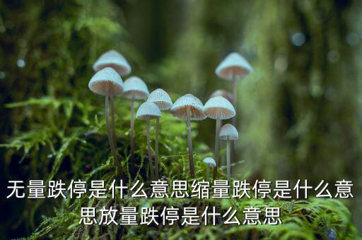 無量跌停是什么意思縮量跌停是什么意思放量跌停是什么意思