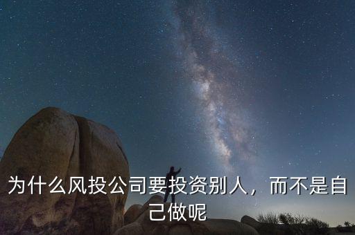 為什么風投公司要投資別人，而不是自己做呢