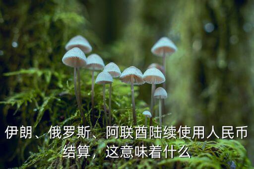 伊朗、俄羅斯、阿聯(lián)酋陸續(xù)使用人民幣結(jié)算，這意味著什么