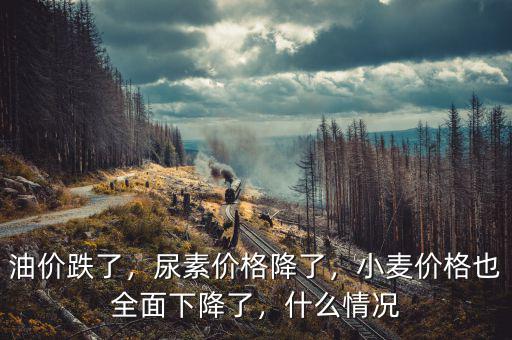 油價(jià)為什么一直跌,最近油價(jià)為什么跌這么厲害